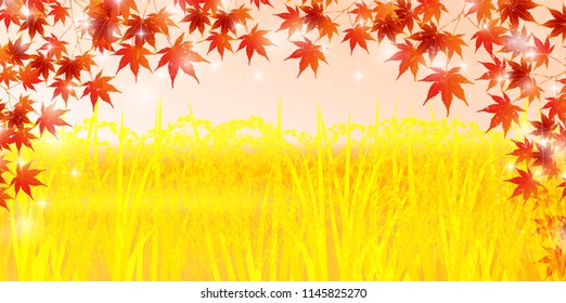 Rice Autumn country background