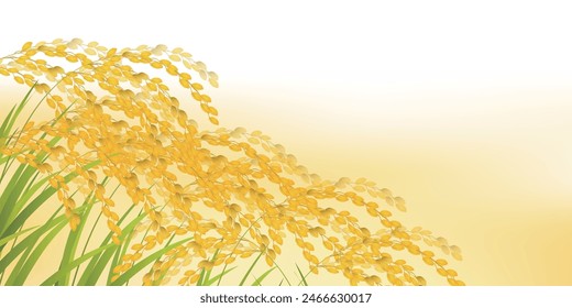 Rice Autumn Countryside Landscape Background