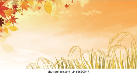 Rice Autumn Countryside Landscape Background