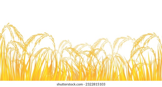 rice rice autumn landscape background