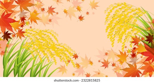 rice rice autumn landscape background
