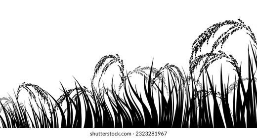 rice rice autumn landscape background