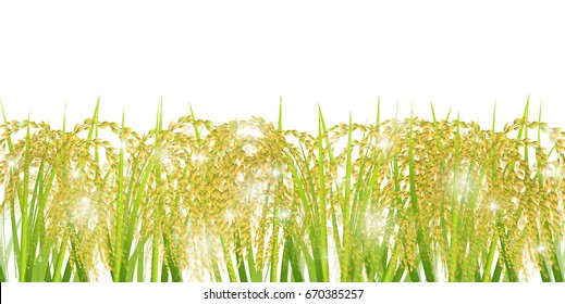 Antecedentes del paisaje del arroz otoñal