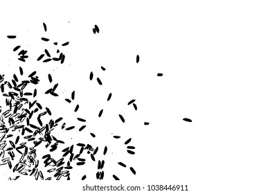 Rice background. Abstract texture for your design. White rice on background. Random pattern with scattered thrown rice seeds. Vector.