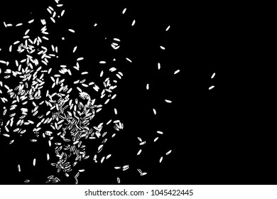 Rice background. Abstract texture for your design. White rice on background. Random pattern with scattered thrown rice seeds. Vector.