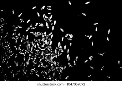 Rice background. Abstract texture for your design. White rice on background. Random pattern with scattered thrown rice seeds. Vector.