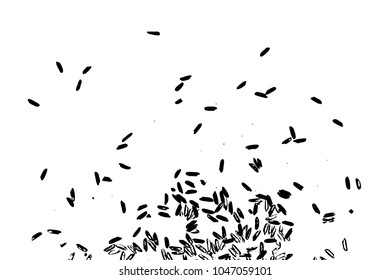 Rice background. Abstract texture for your design. White rice on background. Random pattern with scattered thrown rice seeds. Vector.