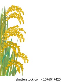 Rice background illustration
