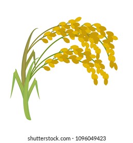 Rice background illustration