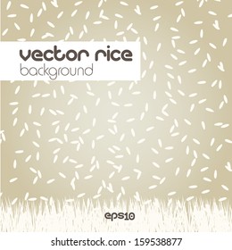 Rice background, vector