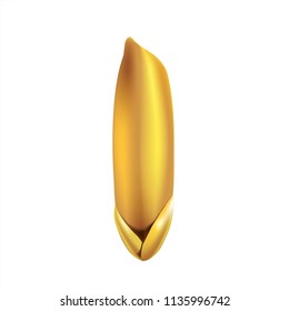 rice barldy golden seed isolated