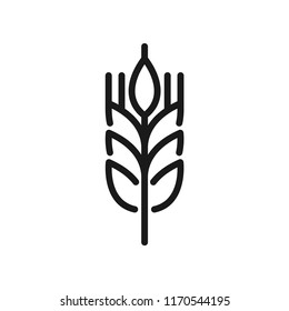 Rice barley icon. Simple design. Isolate on white background. Line vector.