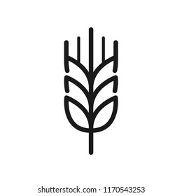 Rice barley stalks icon. Simple design. Isolate on white background. Line vector.