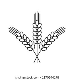 Rice barley stalks, using for icon or logo . Simple design. Line vector. Isolate on white background.