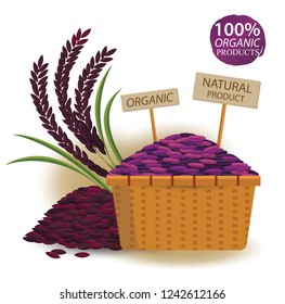 Rice in Basket isolated on white background. vector illustration.