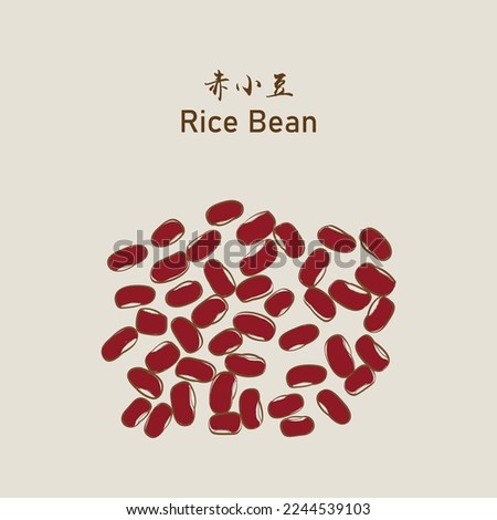 Rice Bean (Chixiaodou), dried rice bean, Chinese traditional herb medicine. 赤小豆. Vector EPS 10 商業照片 © 