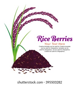 Rice Berries, illustration design.