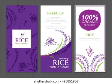 Rice berry Thailand food product vector design, banner and poster template design rice food. 