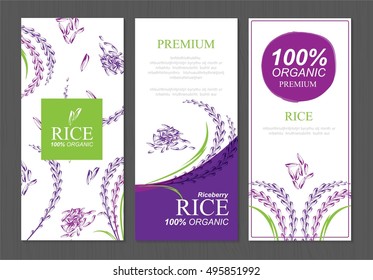 Rice berry Thailand food product vector design, banner and poster template design rice food. 