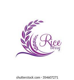 Rice berry Vector