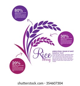 Rice berry Vector