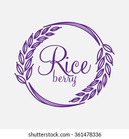 Rice berry Vector
