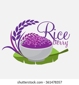 Rice berry Vector