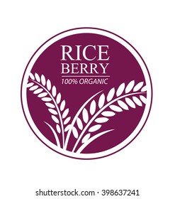 Rice berry. Vector illustration.