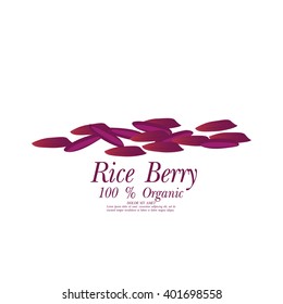 Rice berry Vector illustration.