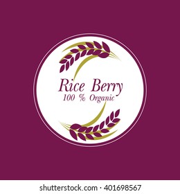 Rice berry Vector illustration.