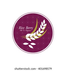 Rice berry Vector illustration.