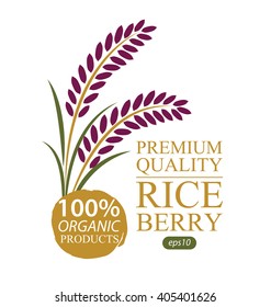 Rice berry. Vector illustration.