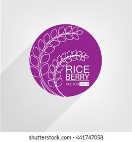 Rice berry. Vector illustration.