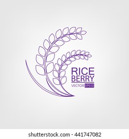Rice berry. Vector illustration.