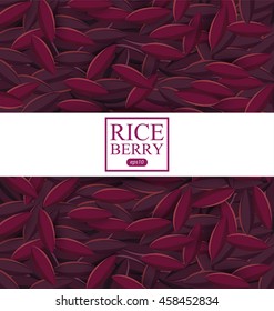 Rice berry. Vector illustration.