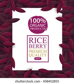 Rice berry. Vector illustration.