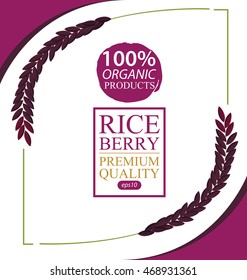 Rice berry. Vector illustration.