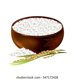 Rice bowl. Hand drawn vector illustration of short-grained rice with panicle on white background. 