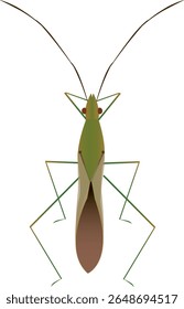 Rice bug is a rice pest that sucks the sap from the rice leaf sheaths.