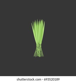 Rice bundle vector flat icon, Flat design of agriculture, rice farming, plantation object on the dark background, vector illustration with shadows