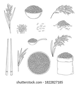 Rice. Cereal ears, grain in sack, chopsticks, wooden spoon, rice in bowl. Hand drawn vector sketch illustration.  