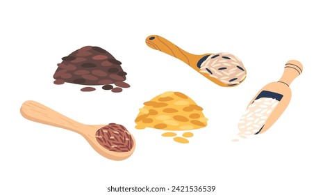Rice Cereal Grains Vector Icons Set. Small Food Items Derived From The Oryza Sativa Plant. Long-grain, Short-grain