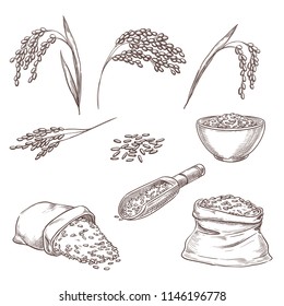 Rice cereal spikelets, grain in sack and porridge in bowl. Vector sketch illustration. Hand drawn isolated design elements.