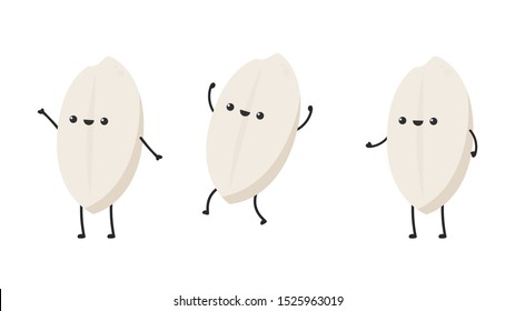 Rice character design. rice vector on white background. rice seed.