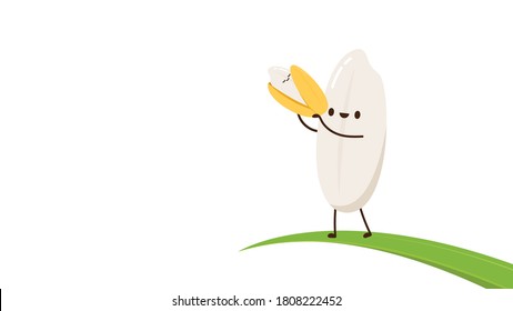 Rice character design. rice vector on white background. rice seed.