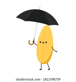 Rice character design. rice vector on white background. rice seed. umbrella vector.