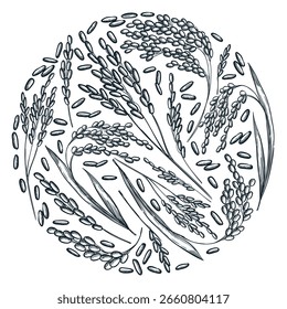 Rice circle label design. Hand drawn vector sketch illustration of rice ears and grains. Perfect for organic, vegetarian food packaging, print, branding or natural agricultural product