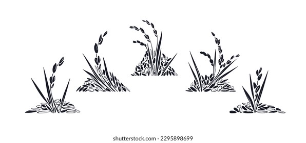 Rice collection. Vector different grains, texture plant isolated on white background. Organic milk, gluten free flour