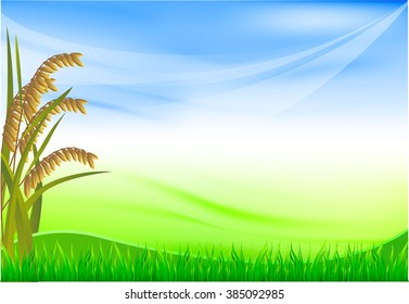 rice corner on blue sky background wiht green wave and grass, vector
