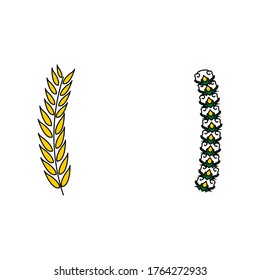 rice and cotton simple flat design illustration